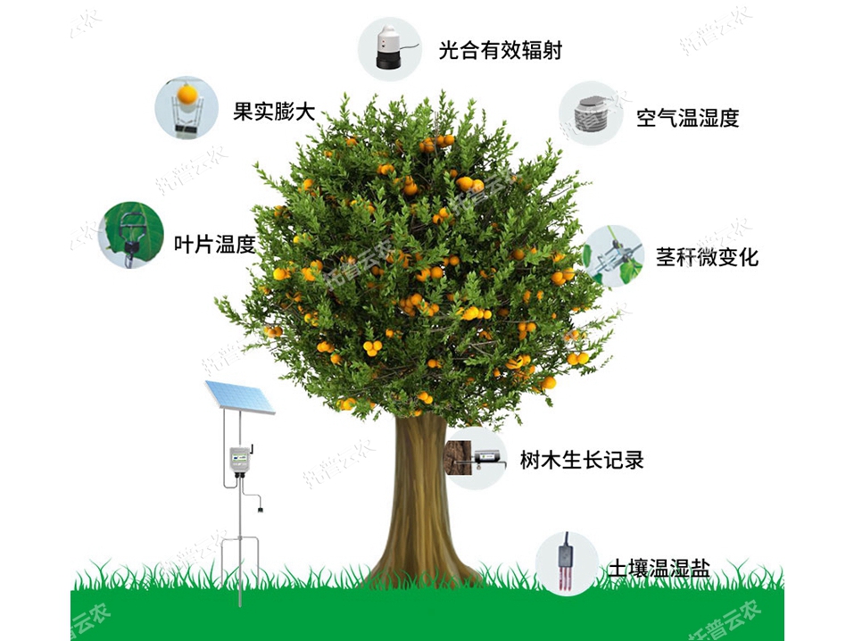 植物生理生態監測系統 TP-ZWSL系列
