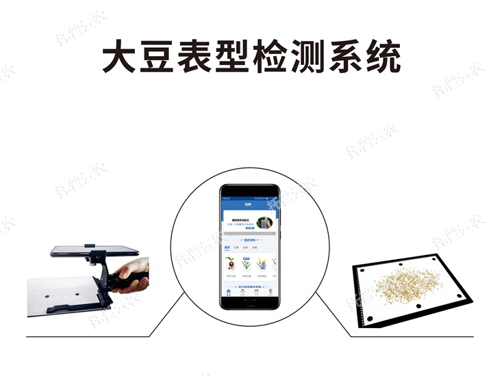 大豆表型檢測系統 TPD-BX-1
