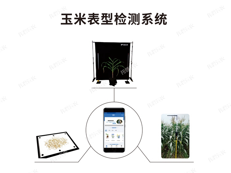 玉米表型檢測系統 TPY-BX-1