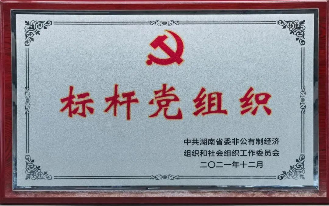 黨建品牌亮起來！山河智能黨委獲評“標桿黨組織”