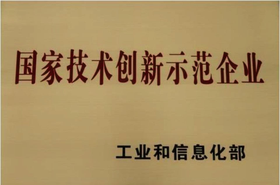 國家技術創(chuàng)新示范企業(yè)